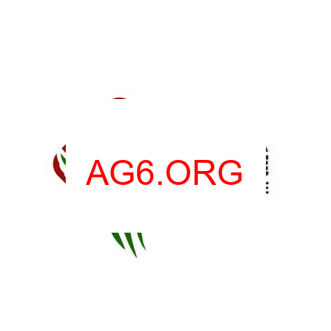 龙港麻将入口图